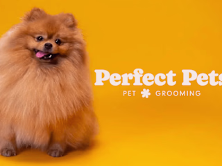 Perfect Pets | Branding