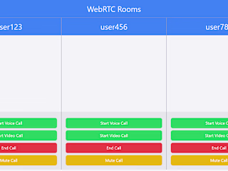 WebSocket WebRTC App