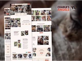 Charlie's Angels | Foster Home-Based Dog & Cat Rescue