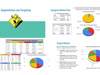 Business and Financial Plan