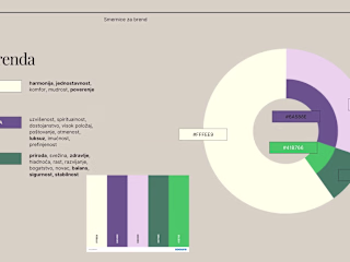Brand book and visual identity guidelines 
