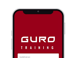 GURO Box | Visual Designer - Developer