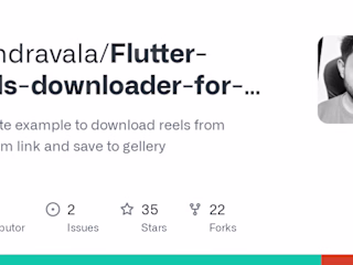 Instagram Reels Downloader