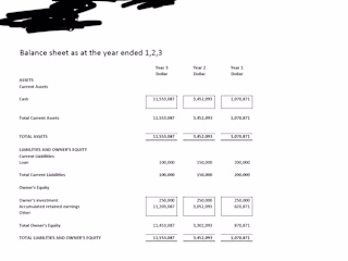 Financial Projection