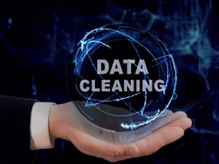 Data Cleaning and Analysis