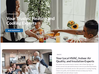 Pro Tech Air Framer Website Design