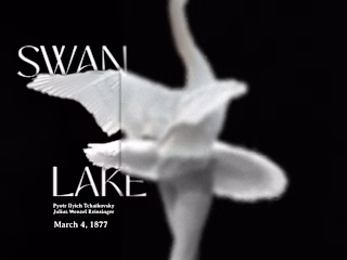 Swan Lake | Ballet Poster