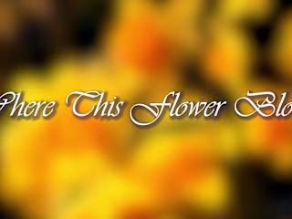 Where This Flower Blooms - YouTube