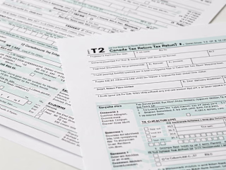  100+ corporate tax returns (T2) for Canadian businesses