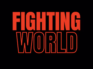 Fighting World