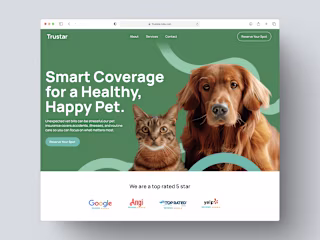 Pet Insurance Website design
