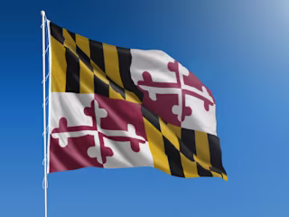 10 Reasons Your Maryland Website is Failing to Attract Visitors