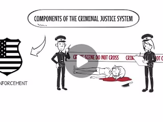Whiteboard Animation for an Educational Platform..