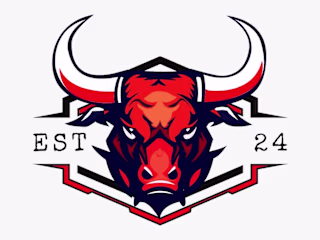 Professional Logo Design