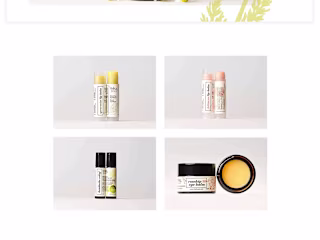 Branding for Ivka Forest