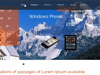 Side web design project