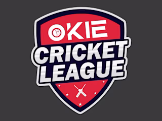 Cricket Mobile Game UI