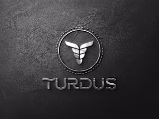 TURDUS AIRLINE BRAND IDENTITY