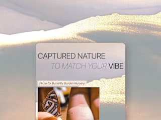 Jonny Lew - Branded Website Design (Photographer Portfolio)