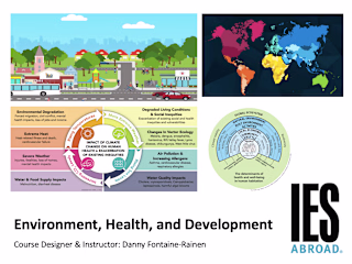 Course Design: Health, Culture, and Development