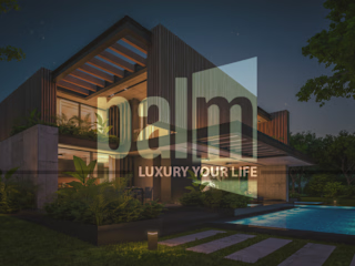 PALM | LUXURY |Brand Identity Design on Behance