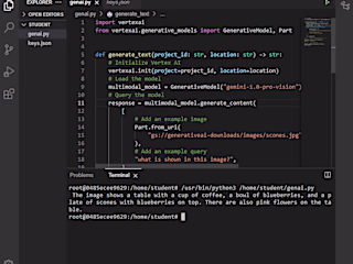 AI Image Recognition App using Gemini on Vertex AI