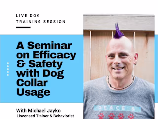 Live Dog Training Seminars