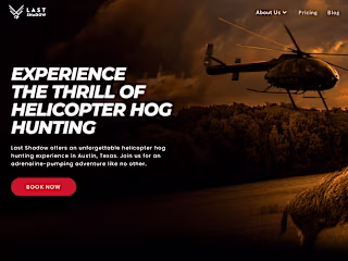 Website for Last Shadow