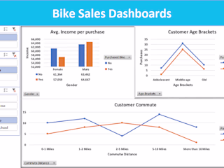 Customer Data Analysis for Marketing and sales Insights