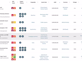 Impact Funds: Investing for a Sustainable Future
