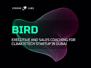 Building Bird Collaborative: Strategy Development and Team Coach