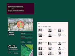 A Uniquely Designed Landing Page in Webflow | Hydrosat