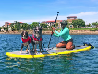 Dog Athletes of the Month: Kahlua & Whiskey Advance