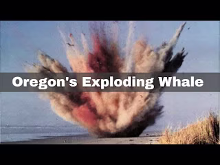 The Exploding Whale: Oregon's Oddest Environmental Disaster