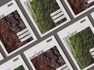Magazine Layout