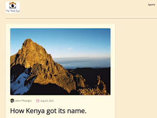 Frontend Developer, The ThirdEye Africa