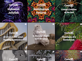 CurioEd: Brand Management and Content Writing