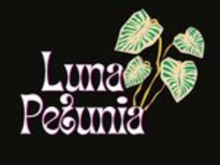 Ms.LunaPetunia (@ms.luna.petunia) • Instagram photos and videos