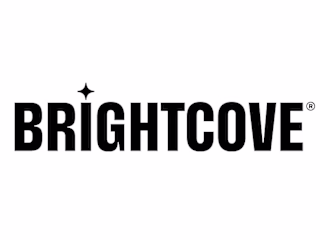 Product Manager Consultant