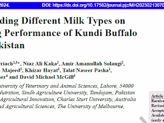 From Draft to Journal: Expert Publication Assistance