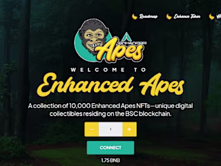 Enhanced Apes Web3 NFT Minting Engine Development