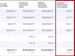 15+ ROAS Through FB and IG Ads
