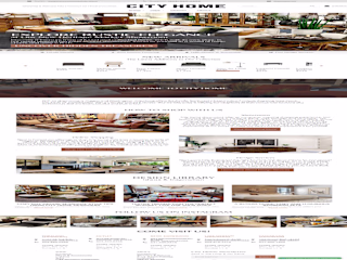 High-ticket shopify dropshipping store design and development