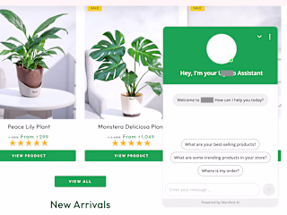 AI Chatbot for e-commerce