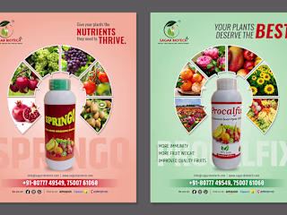 Social Media Poster | Web Banner Design :: Behance