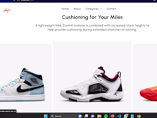 shoe-cart-ecommerce