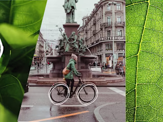Greening Initiative Project for the Embassy of Bern, Switzerland