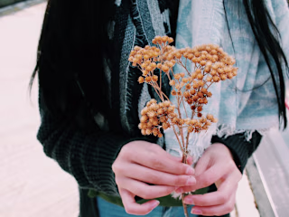 An Introvert's Guide To A Social Life