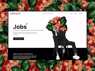 Adnant Consulting - Direction, Web Design and WP Development