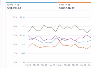 Amazon PPC (+$280,000 sales with 13.5% ACoS)